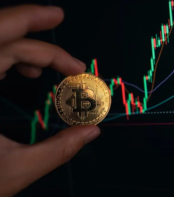 Bitcoin and live market chart on PryLuxo for crypto trading insights